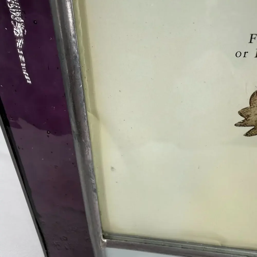 Vintage 1999 Carr Burnes Boston Stained Glass 5x7 Frame Pressed Flowers Purple